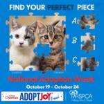 National Adoption Week poster