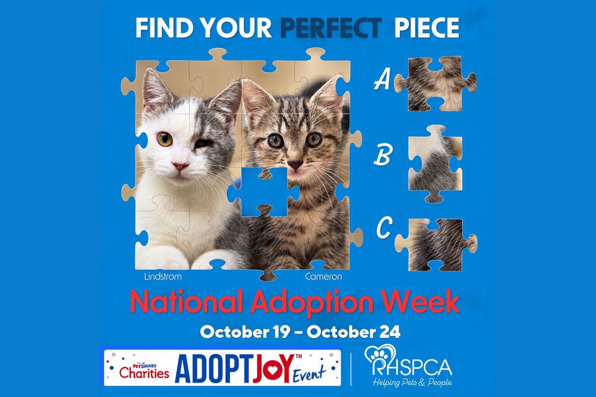 National Adoption Week poster