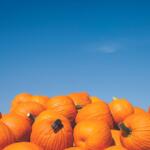 Pile of pumpkins with blue sky in the background